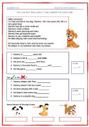 English Worksheet: Summer Fun - Reading 3