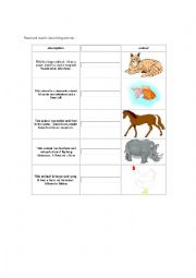 English Worksheet: describing animals