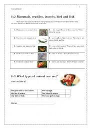 English Worksheet: Wild animals 2