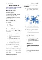 English Worksheet: Bacteria