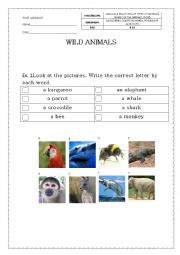 English Worksheet: Wild animals 1