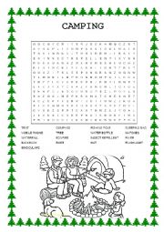 English Worksheet: CAMPING