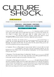 Culture shock worksheet