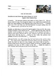 English Worksheet: Japans Most Famous Dog