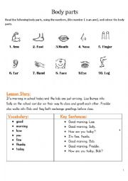 English Worksheet: body parts and greetings