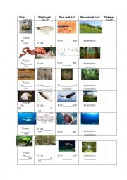 English Worksheet: animals description