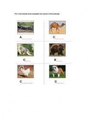 Animals names