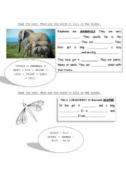 English Worksheet: Animals description