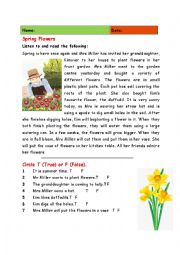 English Worksheet: Spring Flowers