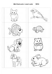 Mini flashcards and word cards (PETS)