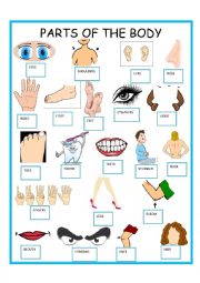 English Worksheet: PARTS OF THE BODY    PICTIONARY   SET 1 OF 3