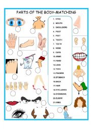 English Worksheet: PARTS OF THE BODY    MATCHING     SET 2 OF 3