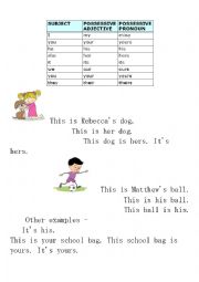 English Worksheet: Possessive Adjectives and Possessive Pronouns