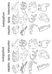 English Worksheet: Type of animals