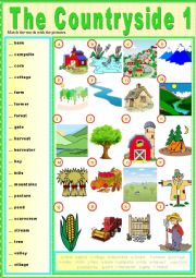 English Worksheet: The countryside 1 (Pictionary)