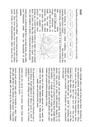 English Worksheet: Snails - animals