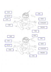 English Worksheet: parts of the body