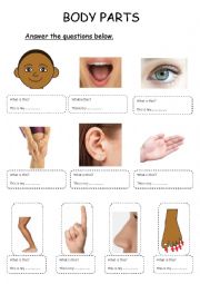 English Worksheet: body parts