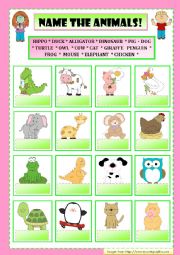 English Worksheet: NAME THE ANIMALS!