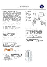 English Worksheet: grammar test