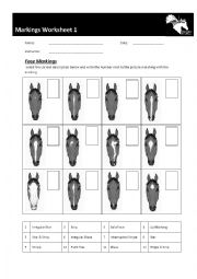 English Worksheet: Horse Markings Worksheet