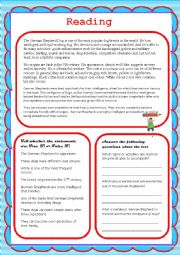 English Worksheet: Reading comprehension