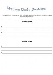 English Worksheet: Human Body System