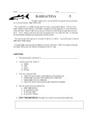 English Worksheet: Barracuda Reading Comprehension Activity