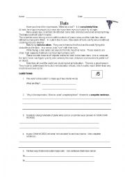 English Worksheet: Bats Reading comprehension