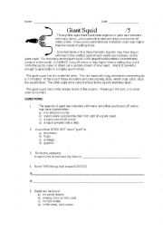 English Worksheet: Giant Squid