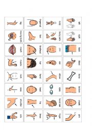 English Worksheet: body flash card 