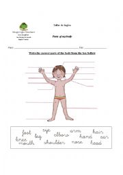 English Worksheet: Body parts