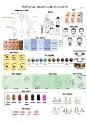 English Worksheet: Physical Traits And Features (face & body)