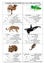 English Worksheet: Describing animals