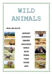 English Worksheet: WILD ANIMALS