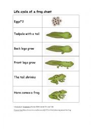 English Worksheet: chant frog lifecycle