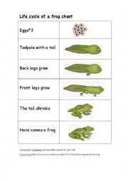 English Worksheet: chant frog lifecycle