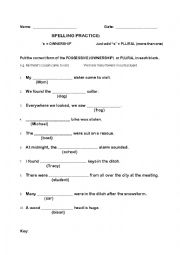 English Worksheet: Possessive vs Plural