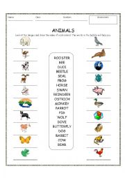 Animals