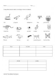 English Worksheet: Animal body parts