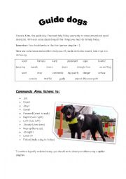 English Worksheet: Guide dogs