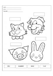 English Worksheet: Animals
