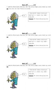 English Worksheet: body parts