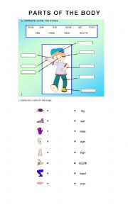 English Worksheet: Parts of the body