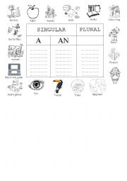 English Worksheet: A / AN / PLURAL