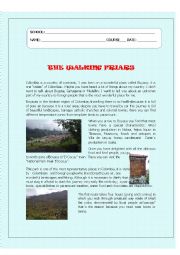 English Worksheet: THE WALKING FRIARS