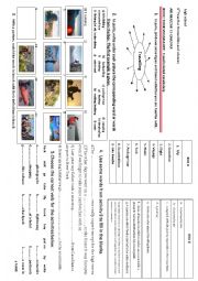 English Worksheet: voc related to travel and holiday