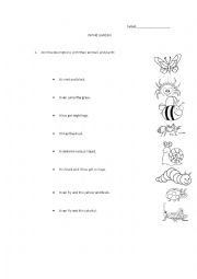 English Worksheet: Animal descriptions