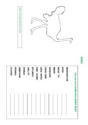 English Worksheet: British Birds