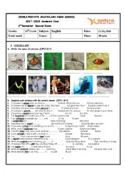 English Worksheet: second term second exam B1 2018